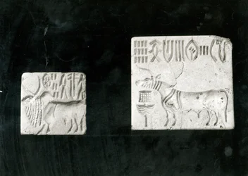 Due sigilli decorati raffiguranti uno zebù e un toro, da Mohenjodaro, Protoistorico